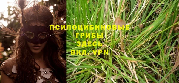 прущая мука Абаза